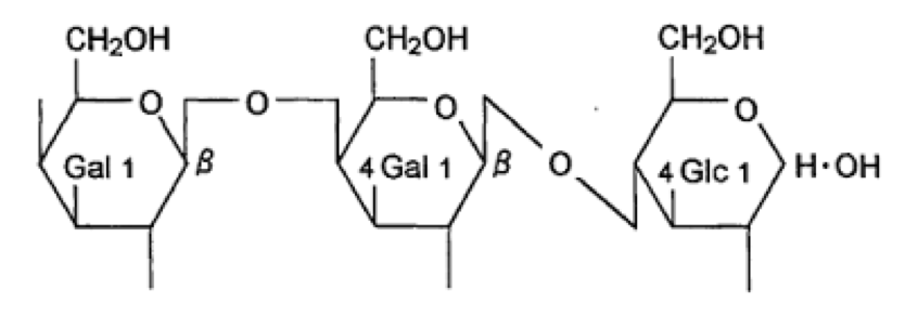 What are the Oligos?_3c93d982