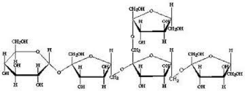 What are the Oligos?_cd9aae2a